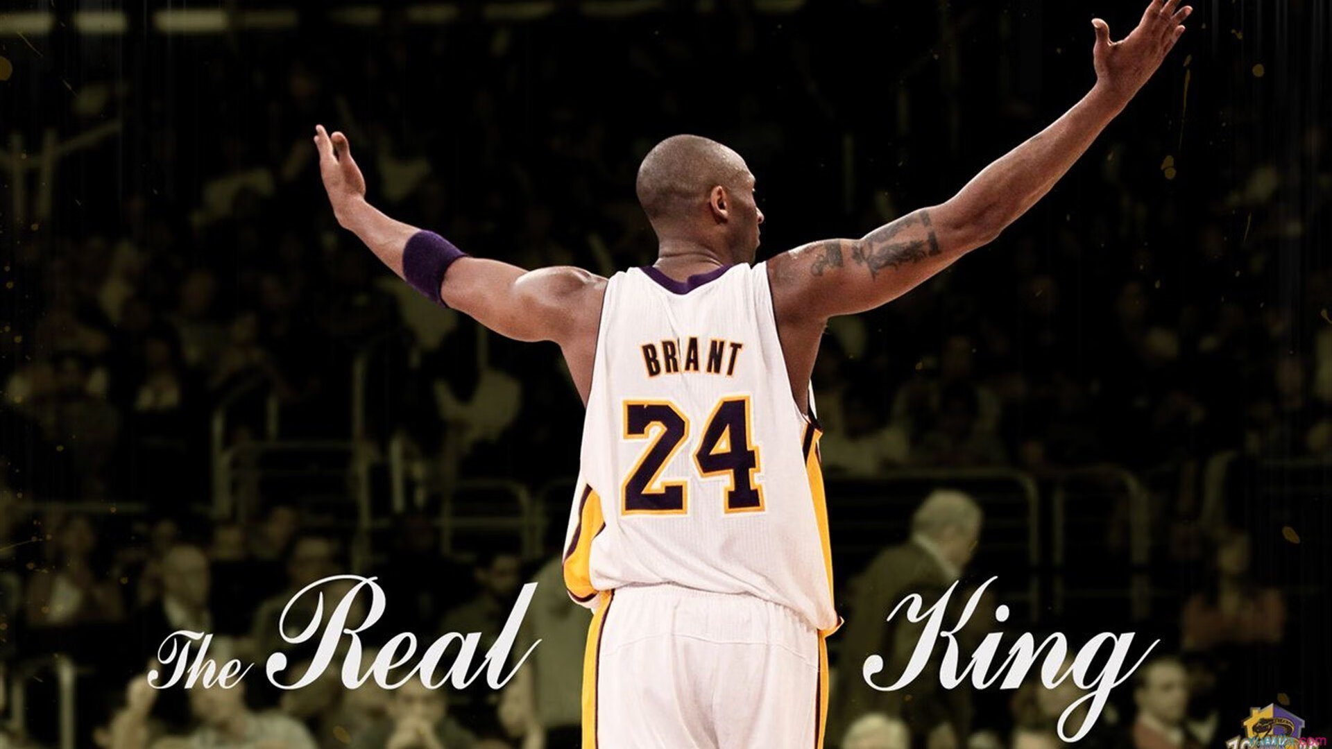 2026年世界武术自由搏击巡回赛亚洲首站落户上海